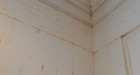 Wall Paneling